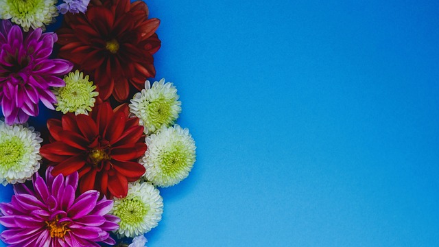 曼城24次对德国球队仅输1场，且23场主场小组赛／联赛阶段不败